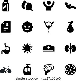 fitness vector icon set such as: winner, microbiology, nutrition, success, bladder, lemon, pear, search, bacteria, citrus, guy, clean, leaf, web, orange, accessory, activity, hematology, bike, juicy