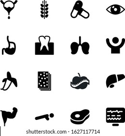 fitness vector icon set such as: crop, happy, group, chicken, pictogram, dinner, seed, rye, hygiene, meat, pills, mouth, bakery, treatment, lamb, look, anatomical, spike, remote, natural, education