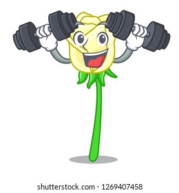 Fitness white rose in the shape cartoon