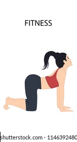 Fitness - young woman doing exercise pose cat - isolated on white background - vector art