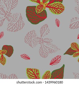 Fittonia plant on grey. Seamless vector pattern. Great for fabric and wallpaper.