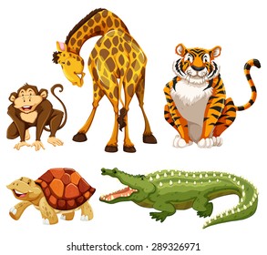 Five animals on a white background