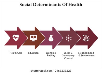 Fünf Aspekte der sozialen Determinanten der Gesundheit - Gesundheit, Bildung, wirtschaftliche Stabilität, sozialer und gemeinschaftlicher Kontext, Nachbarschaft und Umwelt. Infografische Vorlage mit Symbolen 