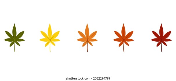 five autumn leaves of green, yellow, orange and red colors