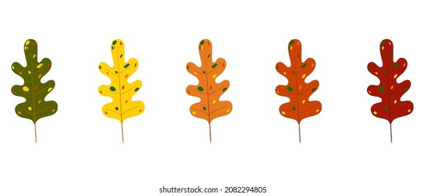 five autumn leaves of green, yellow, orange and red colors
