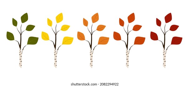 five autumn leaves of green, yellow, orange and red colors