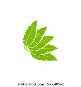 Five banana leaf logo design