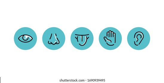 Five basic human senses - touch, sight, hearing, smell and taste - Sensing organs - eye, mouth, ear, nose and hand, medical icons collection - set of isolated vector pictograms