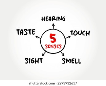 Five basic human senses: touch, sight, hearing, smell and taste,  mind map concept for presentations and reports