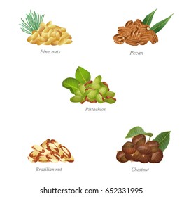 Five batches of nuts with their leaves. Part two / There are pine nuts, pecan, pistachios, Brazilian nuts and chestnut in the batches
