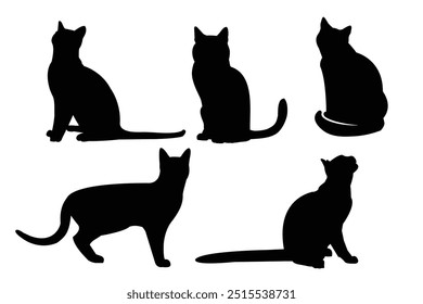 Cinco hermosas siluetas de gato negro