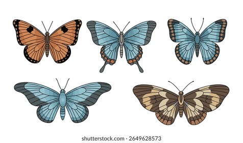 Five beautifully detailed illustrations of different types of butterflies with intricate wing patterns and colors on a white background