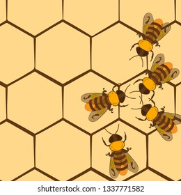 Five bees on honey combs