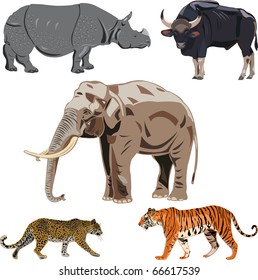 Five big wild beasts in India.