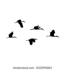 Five bird silhouettes flying in different positions, isolated on white background.