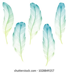 The five bird's feathers set in cold blue color gamut. Soft gradient elements for card or background design. Vector illustration isolated on white background