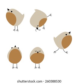 Five birds set on white background. Vector illustration. Cartoon set