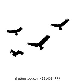 Five black bird silhouettes soaring in different directions on a plain white background, capturing the essence of freedom and nature.