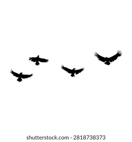 Five black bird silhouettes soaring in different directions against a plain white background, capturing the essence of freedom and nature.