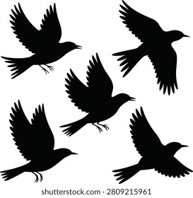 Five black birds flying in different directions