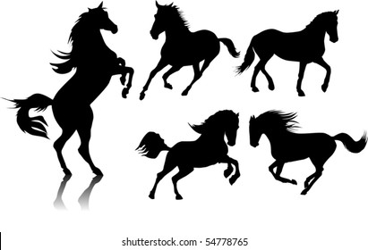 five black horse galloping on a white background;