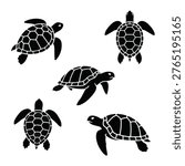 Five black sea turtle silhouettes swimming