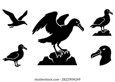 Five black silhouette seabirds shown flying standing perched and head closeup