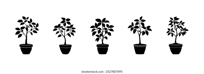 Cinco siluetas negras de plantas en maceta, con diferentes arreglos de hojas, sobre un fondo blanco.