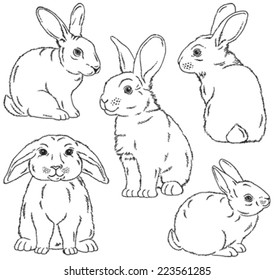 Five Black White Sketches Cute Rabbits Stock Vector (Royalty Free ...