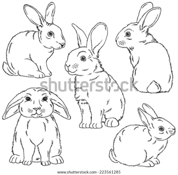 Five Black White Sketches Cute Rabbits Stock Vector (Royalty Free ...