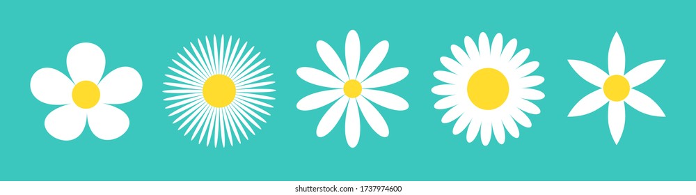 Five camomile set. White daisy chamomile icon line. Cute round flower plant nature collection. Love card symbol. Growing concept. Decoration element. Flat design. Green background. Isolated. Vector