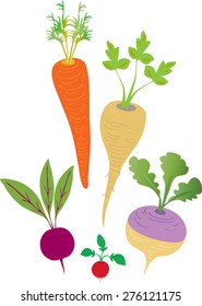 Five cartoon root vegetables,including carrot,parsnip,beetroot,radish and turnip