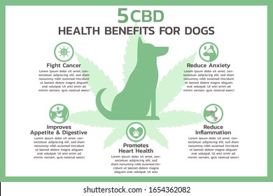 859 Health benefits for dogs Images, Stock Photos & Vectors | Shutterstock