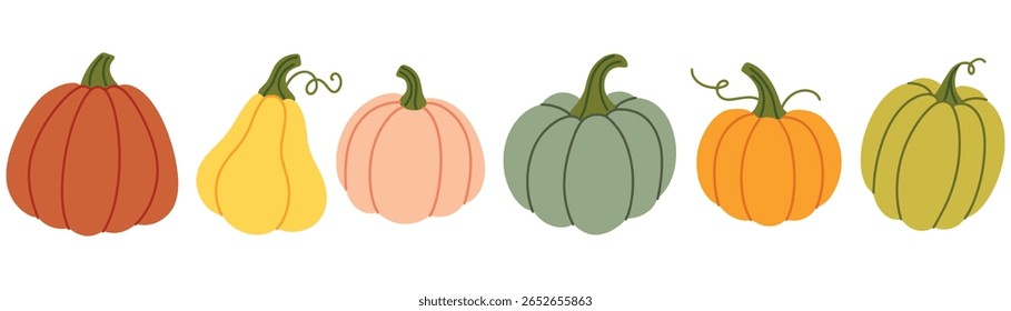 Five colorful pumpkins and squash arranged in a row on horizontal white background. Autumn harvest vegetable design