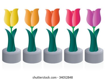 Five colorful tulips on the line