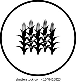 cinco plantas de maíz con símbolo de hojas