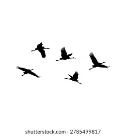 Five cranes silhouettes in flight birds black