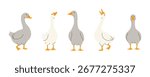 Five cute geese in various poses on a white background