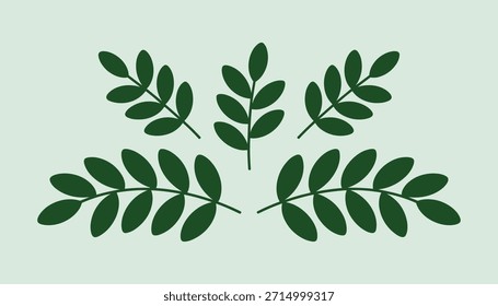 Five dark green stylized branches with oval leaves arranged on a pale green background leaf plant