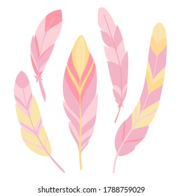five decorative pink bird feathers