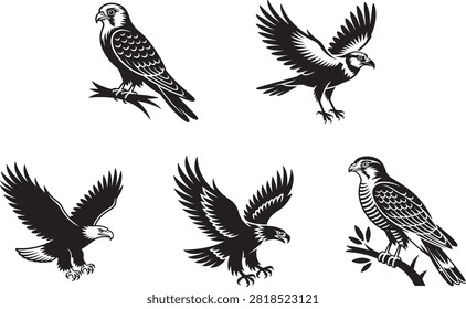 Five different birds of prey in flight and perched on branches isolated on transparent background