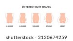 Five different butt shapes vector illustration. Human body. Female figure. Style, fashion and beauty concept
