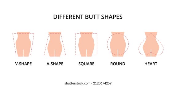 Five different butt shapes vector illustration. Human body. Female figure. Style, fashion and beauty concept
