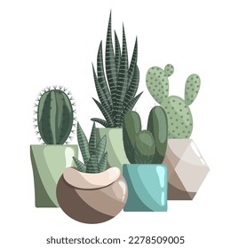 Five different cacti in ceramic pots. Succulents, prickly pear, opuntia, haworthia or zebra cactus, sansevieria