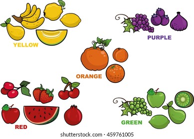 Five different colors vector fruit illustrations.