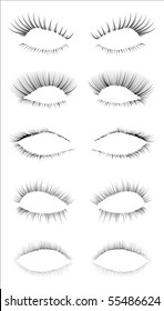 Five different eyelashes in an editable vector file, great for illustration compositions.