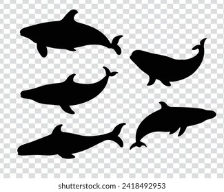 five different pose black color whale vector, a set of black whale icons illustration