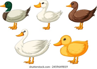 Five different styled cartoon ducks standing.