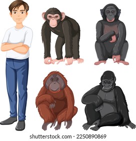 Five different types of great apes illustration