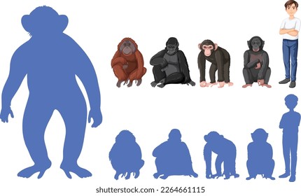 Five different types of great apes illustration